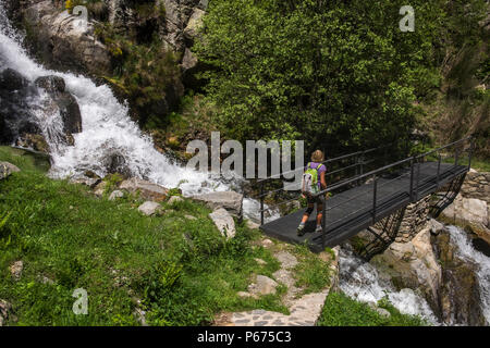 Salz de Fontalba Wasserfall an dem Punkt, wo sie den Rio de Nuria Fluss im Tal Vall de Nuria, Katalonien, Spanien Stockfoto