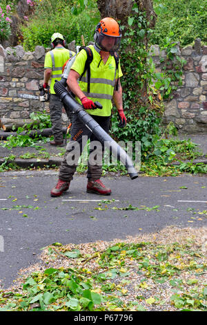 Mann, Baum Chirurg, mit laubbläser Wenn nach Baum- aufräumen Stockfoto