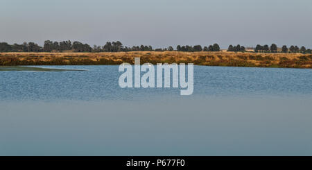 Salz Verdunstungsteichen im Ria Formosa Naturpark gelegen, ein idealer Ort, um Vögel wie die Flamingos in dieses Bild. Ludo, Algarve, Portugal Stockfoto