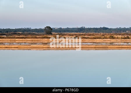 Salz Verdunstungsteichen in Ria Formosa. Algarve, Portugal Stockfoto