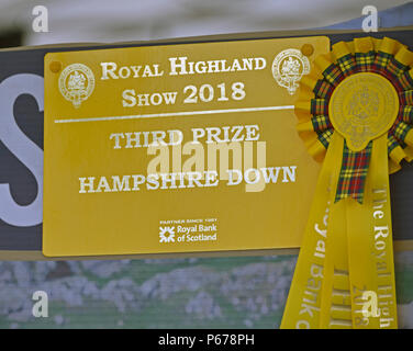 3. platz Preisträger Zertifikat und Rosette für Hampshire, Schafe. Royal Highland Show 2018, Ingliston, Edinburgh, Schottland, Vereinigtes Königreich, Eu Stockfoto