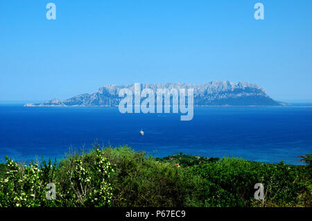 Sardinien, die Insel Tavolara von der sardischen Küste in der Nähe von Golfo Aranci Stockfoto