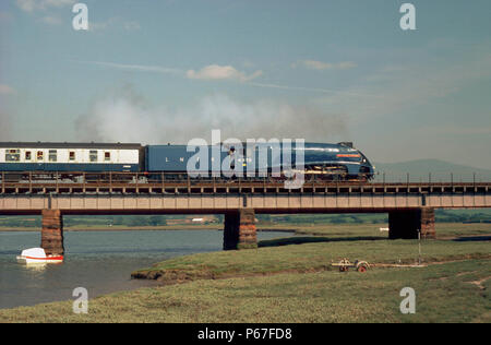 Cumbrian Coast Express. Nr. 4498 Sir Nigel Gresley südwärts über den Fluss Esk aus Sellafield Carnforth. 11.07.1978. Stockfoto