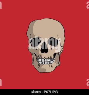 Hand Schädel auf rotem Hintergrund, Vector Illustration gezeichnet Stock Vektor
