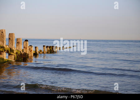 Alte hölzerne Wellenbrecher ins Meer führenden Stockfoto