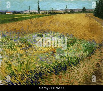 Gemälde mit dem Titel "Weizenfeld" von Vincent Van Gogh (1853-1890) post-impressionistischen Maler niederländischer Herkunft. Datiert 1880 Stockfoto