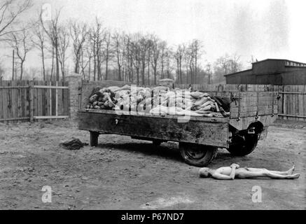 Konzentrationslager Buchenwald - Das Bild zeigt die Leichen der gefangen gehalten als Kriegsgefangene. Sobald das Lager befreit wurden, Verbündete transportiert die Körper entfernt, sie eingeäschert. Kurz nach dem Ende des Zweiten Weltkriegs 1945 datiert. Stockfoto