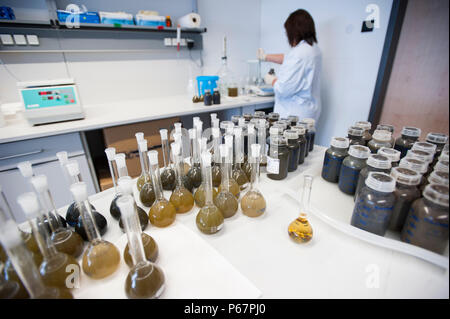 Deutschland, Hersteller von Biogasanlagen MT-Energie, Labortests slurry Probe Stockfoto