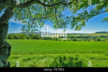 CRAIGIEVAR CASTLE ABERDEENSHIRE SCHOTTLAND AUF DIE LANDSCHAFT AUS DEM SCHLOSSPARK Stockfoto