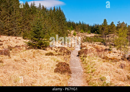 Trail Der West Highland Art und Weise in der Nähe der Brücke von Orchy, Schottland Stockfoto