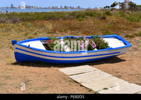 Blaue und weiße Boot voller Blumen am Strand von Mar de Cristal, Mar Menor, Murcia, Spanien Stockfoto