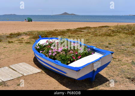 Blaue und weiße Boot voller Blumen am Strand von Mar de Cristal, Mar Menor, Murcia, Spanien Stockfoto