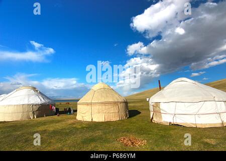 Ger-Camp auf einer großen Wiese in Ulaanbaatar, Mongolei Stockfoto