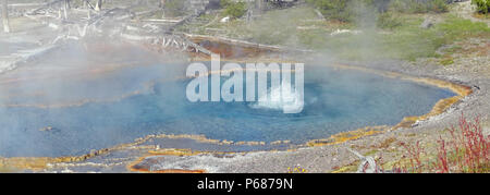 Firehole Feder auf Firehole Lake Drive im Yellowstone National Park in Wyoming United States Stockfoto