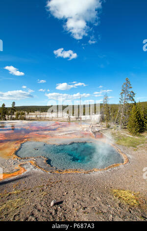 Firehole Feder auf Firehole Lake Drive im Yellowstone National Park in Wyoming United States Stockfoto