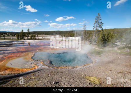 Firehole Feder auf Firehole Lake Drive im Yellowstone National Park in Wyoming United States Stockfoto