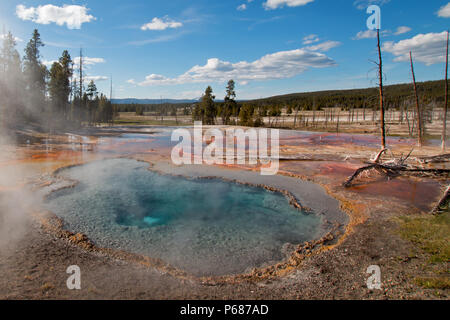 Firehole Feder auf Firehole Lake Drive im Yellowstone National Park in Wyoming United States Stockfoto