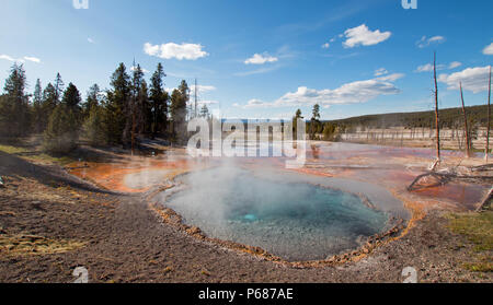 Firehole Feder auf Firehole Lake Drive im Yellowstone National Park in Wyoming United States Stockfoto