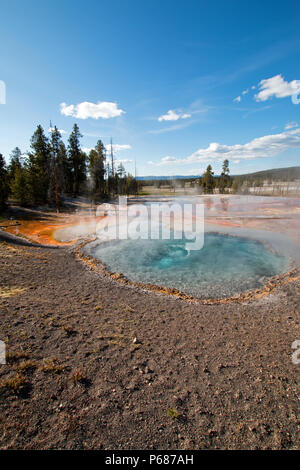 Firehole Feder auf Firehole Lake Drive im Yellowstone National Park in Wyoming United States Stockfoto