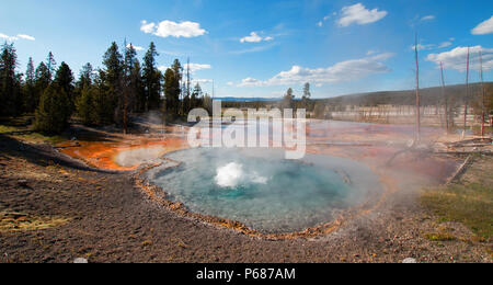 Firehole Feder auf Firehole Lake Drive im Yellowstone National Park in Wyoming United States Stockfoto