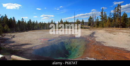 Zitrone Feder auf Firehole Lake Drive im Yellowstone National Park in Wyoming United States Stockfoto