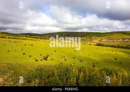 (180628) - Peking, 28. Juni 2018 (Xinhua) - Foto auf Sept. 12, 2017 zeigt einen Grünland in Hulun Buir, North China Autonome Region Innere Mongolei. Umfassende Fortschritte erzielt worden, da der Bericht am 18. Nationalen Kongresses der Kommunistischen Partei Chinas (KPCH) im Jahr 2012 gelieferten ökologische Entwicklung als eine wichtige Aufgabe, die Gesamtplanung des Landes und schlug eine "schöne China Building' als große Ziel enthalten. (Xinhua / Gao Rongguang) (MAR) (ZT) Stockfoto