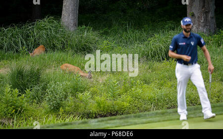 Potomac, MD, USA. 28 Juni, 2018. Rehe grasen hinter dem 10. Grün während der ersten Runde der Quicken Loans Nationalen an TPC Potomac in Potomac, MD. Justin Cooper/CSM/Alamy Live News Credit: Cal Sport Media/Alamy leben Nachrichten Stockfoto