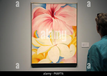 New York, USA. 27 Juni, 2018. Eine Person schaut auf das Bild "Hibiscus mit Plumeria" des amerikanischen Künstlers Georgia O'Keefe in den Botanischen Gärten. Credit: Christina Horsten/dpa/Alamy leben Nachrichten Stockfoto