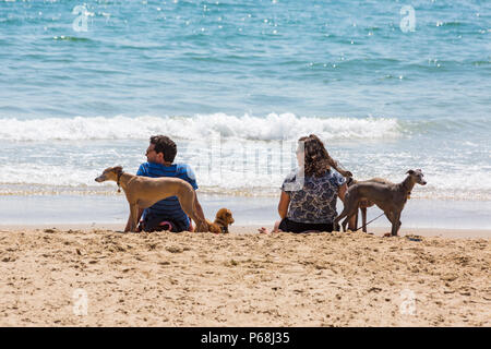 Bournemouth, Dorset, Großbritannien. 29 Juni, 2018. UK Wetter: sunseekers Kopf bis zu den Stränden von Bournemouth auf einen weiteren sonnigen Tag mit Ungebrochenen blauer Himmel und Sonnenschein. Eine leichte Brise die Hitze erträglicher macht. Paar am Meer mit Hunden. Credit: Carolyn Jenkins/Alamy leben Nachrichten Stockfoto