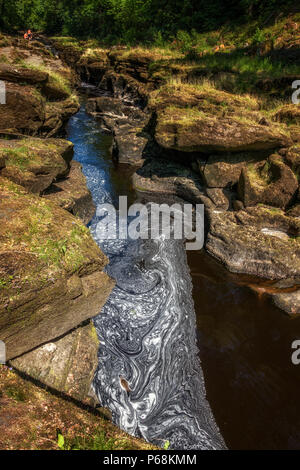 UK Wetter: North Yorkshire, UK. 29. Juni 2018. Enten Pattern in der Schaum an der Strid auf dem River Wharfe. Geringe Wasser macht Felszeichnungen und leeren Whirlpools - ein schöner Ort für einen schattigen Spaziergang in der Hitzewelle zu haben. Rebecca Cole/Alamy leben Nachrichten Stockfoto