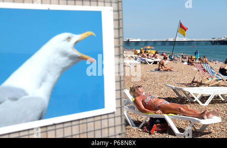 Menschen nehmen Sie ein Sonnenbad auf Brighton Beach in Sussex. Briten werden die heißesten Temperaturen des Jahres für den vierten Tag in Folge diese Woche zu genießen, mit dem Mercury vorhergesagt steigen auf 32 C (105 F). Stockfoto