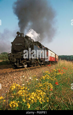 Der Selketalbahn einzigartige Meterspur 2-6-2T Nr. 99.6001 Blätter Gernrode mit dem 07:40-Zug nach alexisbad am Dienstag, 12. Juli 1977. Stockfoto