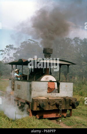 Die Welten der letzte Dampf tram in der Zuckerfabrik F.C Azucarera in Paraguay. Durch Bouig von Berlin im Jahre 1910 erbaut. Den Motor Tebicuary arbeitete ursprünglich fo Stockfoto