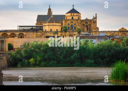 Cordoba Mezquita, Blick auf die Kathedrale in Cordoba - auch als La Mezquita bekannt - Steigen über den dicht bewaldeten Ufer des Rio Guadalquivir, Spanien. Stockfoto