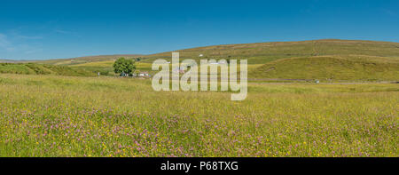 North Pennines AONB Panoramablick auf die Landschaft, Mähwiesen bei Sümpfen Gill Farm, Harwood, Obere Teesdale Stockfoto