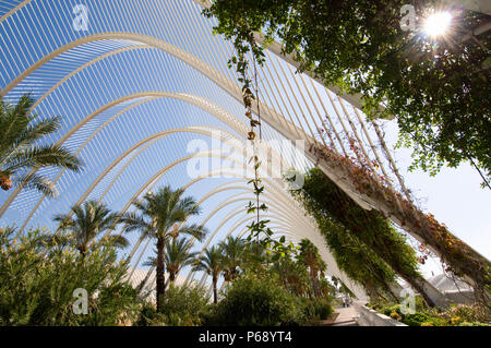 14. Oktober 2009 - Valencia, Spanien - dem Umbracle. Die Struktur, die ein längliches Kuppel aus Stahl Gitterkonstruktion, die Schatten zu erstellen, ist ein Teil von Spanish Arch Stockfoto