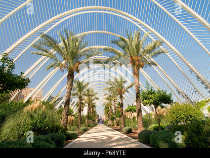 14. Oktober 2009 - Valencia, Spanien - dem Umbracle. Die Struktur, die ein längliches Kuppel aus Stahl Gitterkonstruktion, die Schatten zu erstellen, ist ein Teil von Spanish Arch Stockfoto