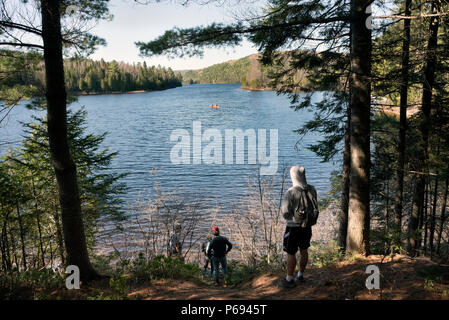 See und Wald im La Mauricie Nationalpark, der Provinz Quebec, Kanada Stockfoto