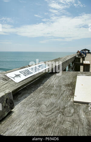 Kein Hai angeln am Pier in Myrtle Beach State Park, SC, USA. Stockfoto