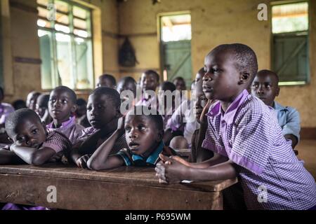 Schülerinnen und Schüler werden gesehen, sitzen auf Bänken innerhalb einer Klasse. Grundschüler an ihrem letzten Tag in einer Schule in der Nähe der Stadt Hoima im Westen Ugandas. Stockfoto