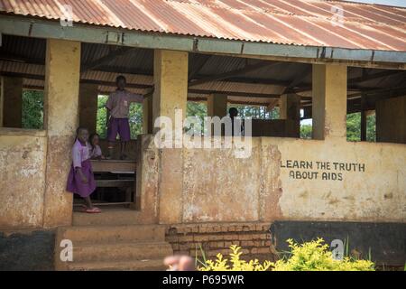 Ein Junge wird gesehen, auf einer Bank in einer Klasse. Grundschüler an ihrem letzten Tag in einer Schule in der Nähe der Stadt Hoima im Westen Ugandas. Stockfoto