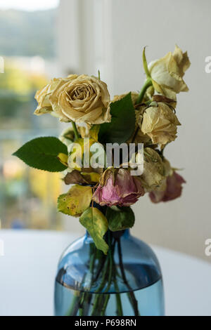 Blumenstrauß aus verdorrte Rosen in Glasvase gelb und rosa Stockfoto
