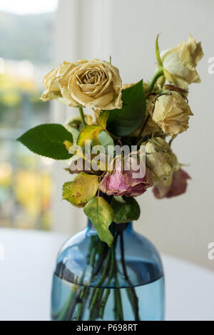 Blumenstrauß aus verdorrte Rosen in Glasvase gelb und rosa Stockfoto