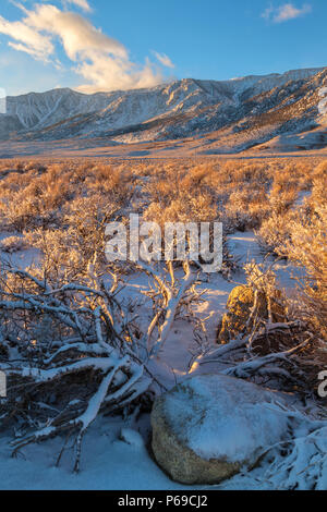Die Berge der Sierra Nevada und die Vegetation bei Alabama Hill nach einem späten November Schnee Sturm, Lone Pine, California, United States. Stockfoto