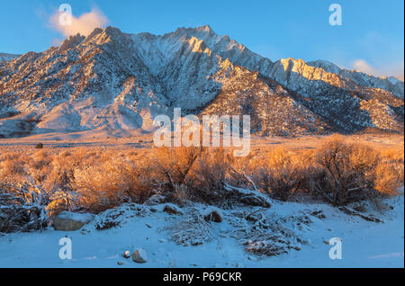 Lone Pine Peak und die umgebende Vegetation nach einem späten November Schnee Sturm, Alabama, Hügel, Lone Pine, California, United States. Stockfoto