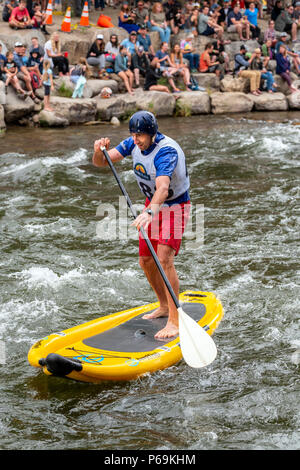 Wettbewerber Rennen im standup paddleboard Ereignis; Fibark River Festival; Arkansas River; Salida, Colorado, USA Stockfoto