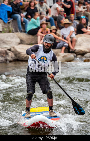 Wettbewerber Rennen im standup paddleboard Ereignis; Fibark River Festival; Arkansas River; Salida, Colorado, USA Stockfoto