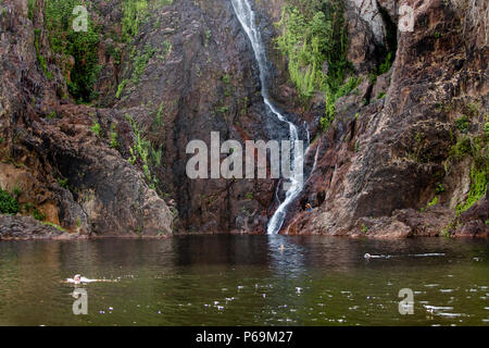 Erfrischung im klaren Wasser am Fuße der Wangi Falls im Litchfield National Park. Sicheres Schwimmen in Nordaustralien Stockfoto