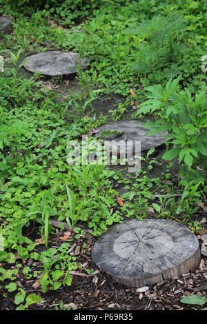 Fußpfad aus geschnittenen Baumstämmen erstellt und in den Boden eingebettet. Stockfoto