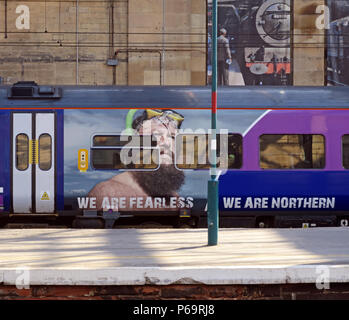 Wir sind furchtlos sind wir in der Nördlichen branding Logo, im nördlichen Eisenbahn Zug, Carlisle Railway Station, Carlisle, North West England, Großbritannien Stockfoto